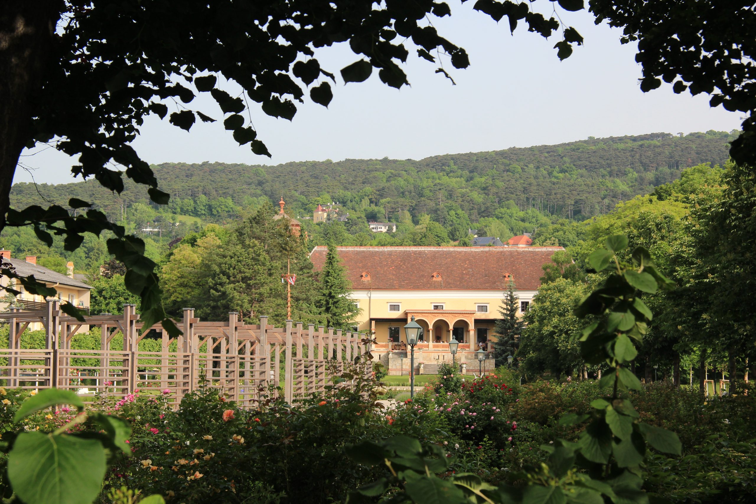 https://commons.wikimedia.org/wiki/File:Baden-Rosarium_9426.JPG